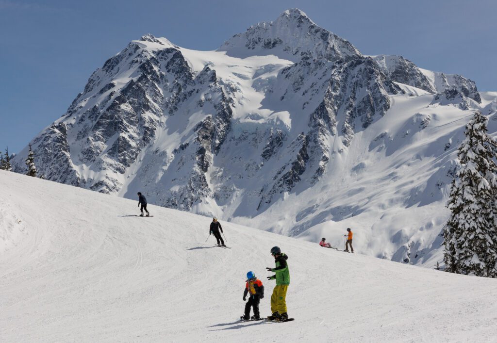 Mount Shuksan towers over skiers at Mount Baker Ski Area as most skiers are going down the hill.