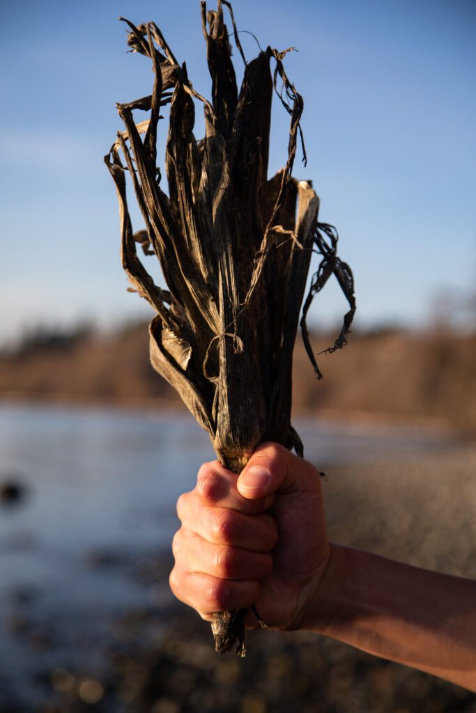 A hand holds an aged corn husk on the beach.