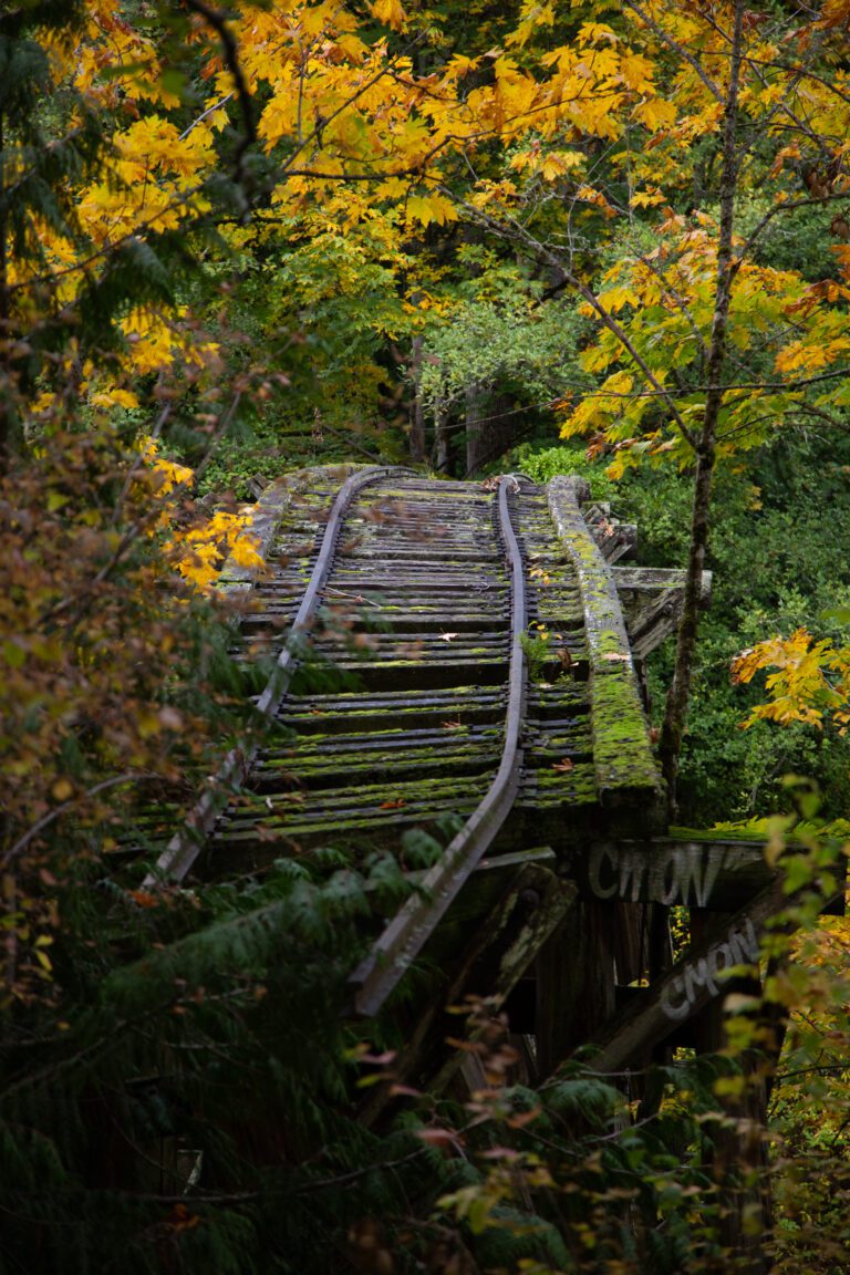 Abandoned railroad trestles are framed by colorful trees in Whatcom Falls Park in November 2021.