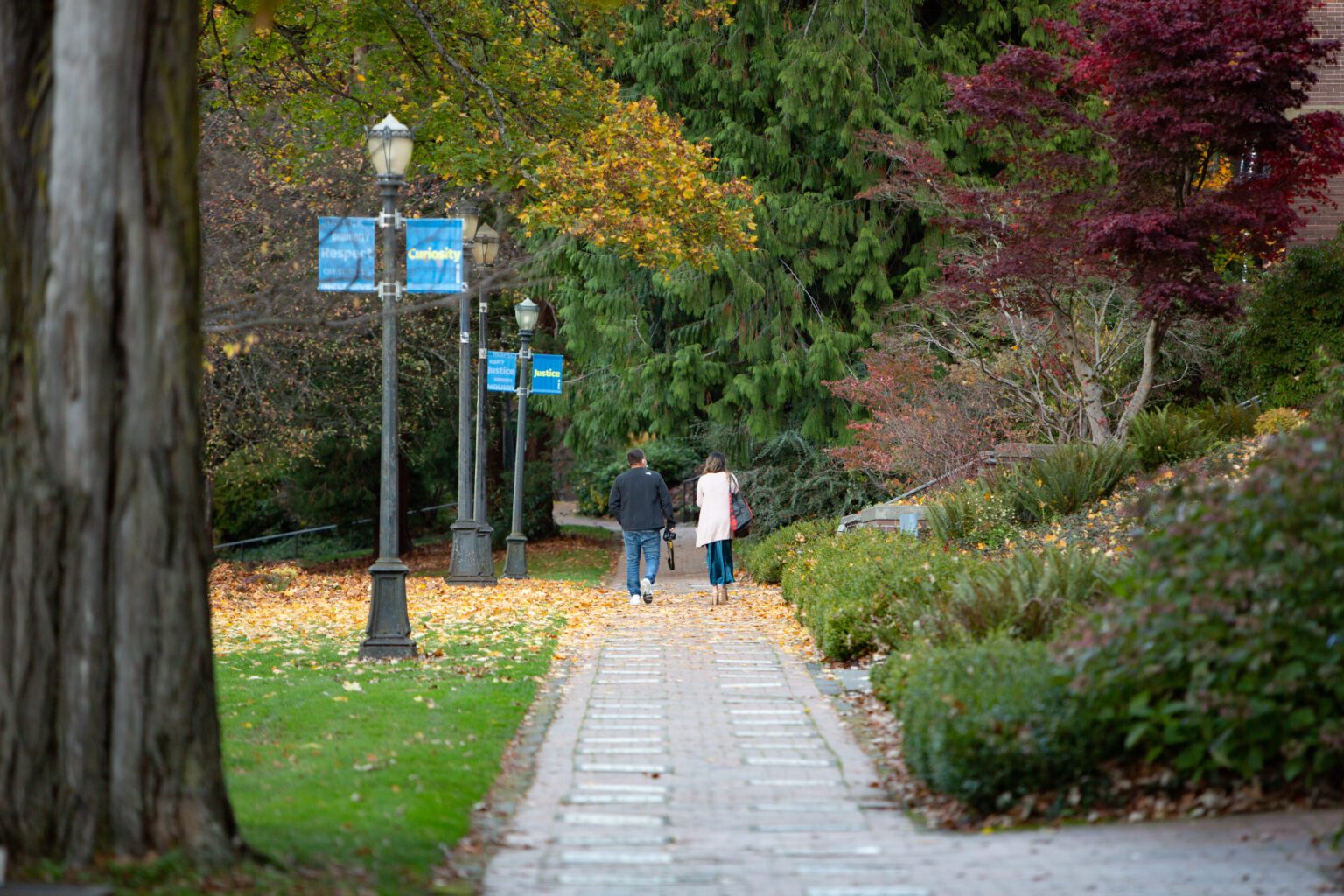 Western Washington University retrofitted 250 lights along walkways