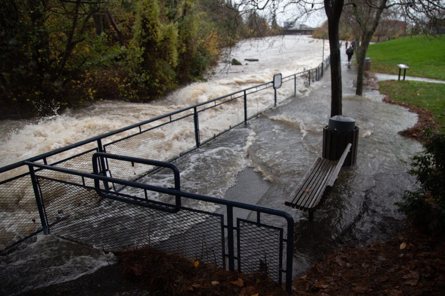 Whatcom Creek floods over its banks at Maritime Heritage Park on Nov. 15