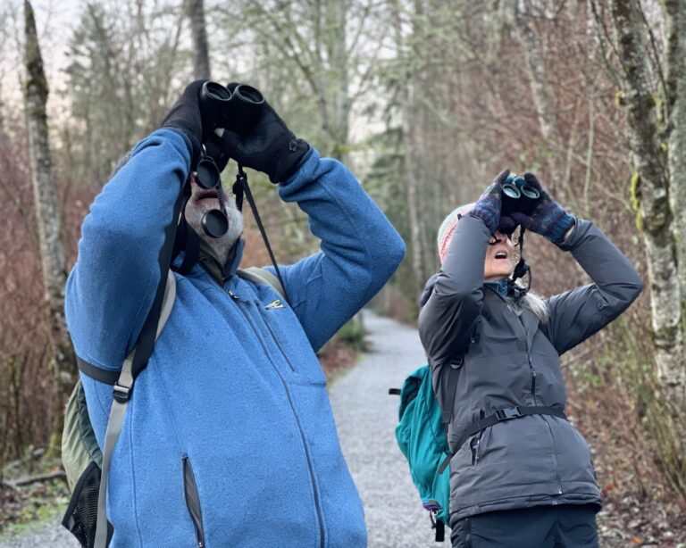 Doug Brown (left) and one of his volunteers look for birds during the 2021 Christmas Bird Count