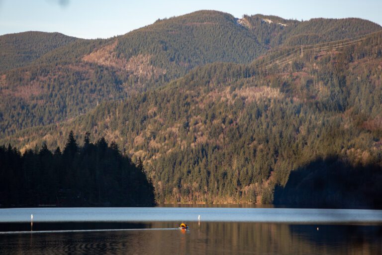 More than 130 acres in the Lake Whatcom watershed will be protected from future logging projects following a Bellingham city council meeting.