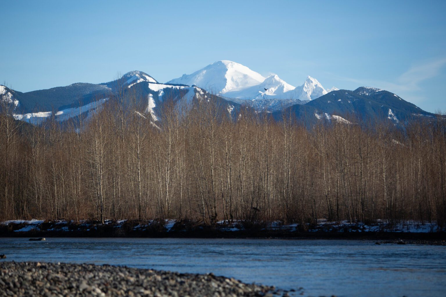 The Nooksack River flows beneath Mount Baker near the Nooksack Indian Reservation on Sunday