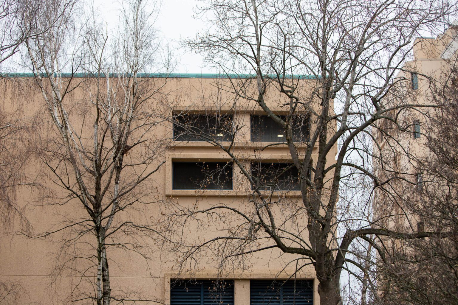 Whatcom County's jail windows behind tree branches.