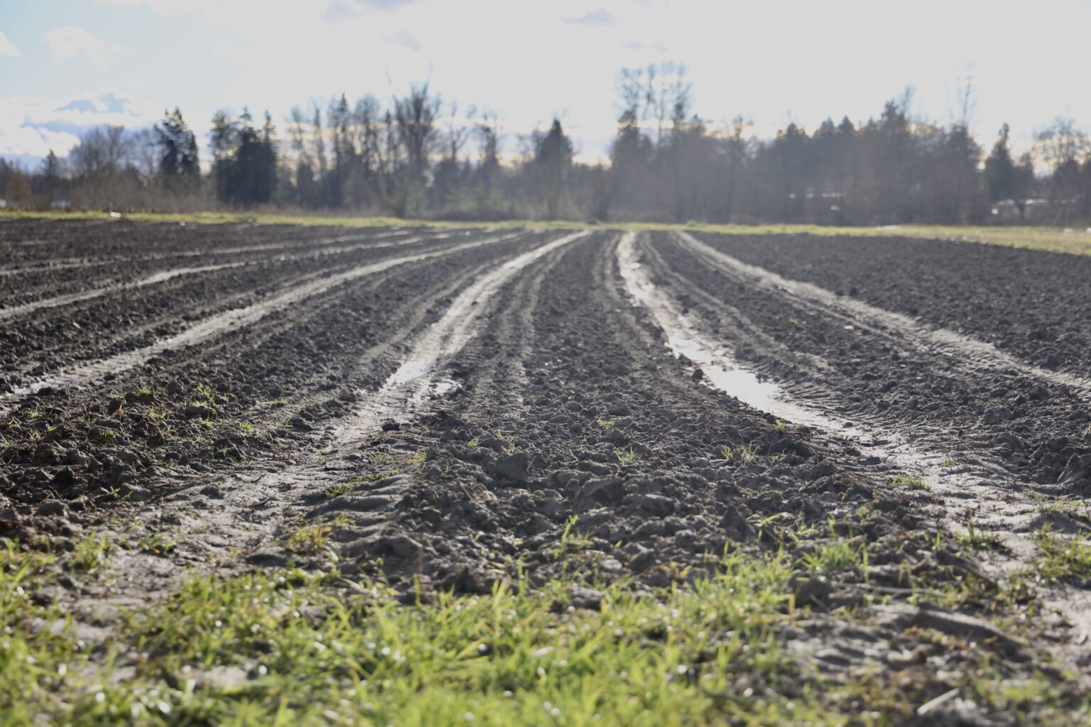 Mud covers a field at Terra Verde farm in Everson