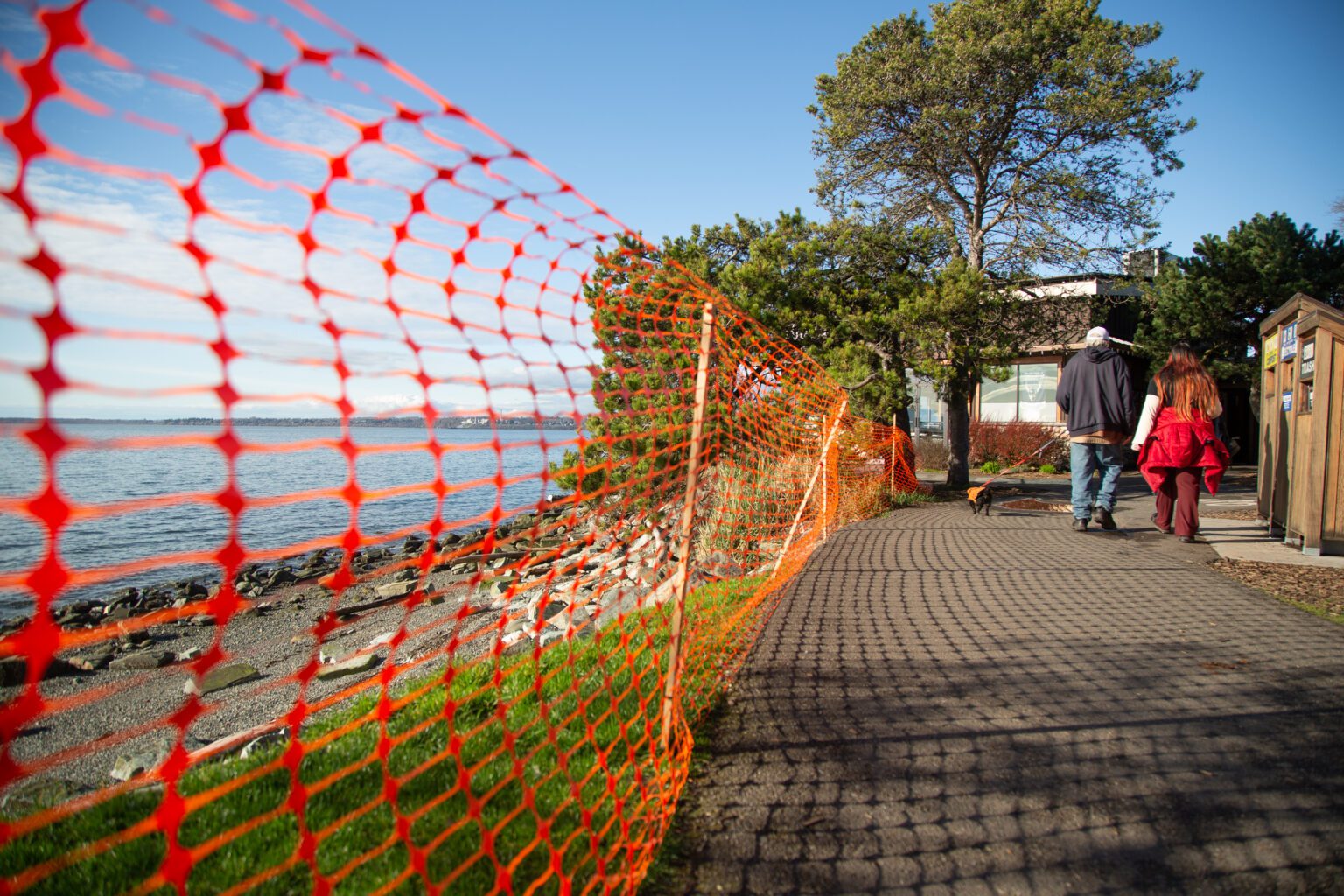 Orange netting blocks off the shoreline at Boulevard Park on March 28. The City of Bellingham expects to receive $500