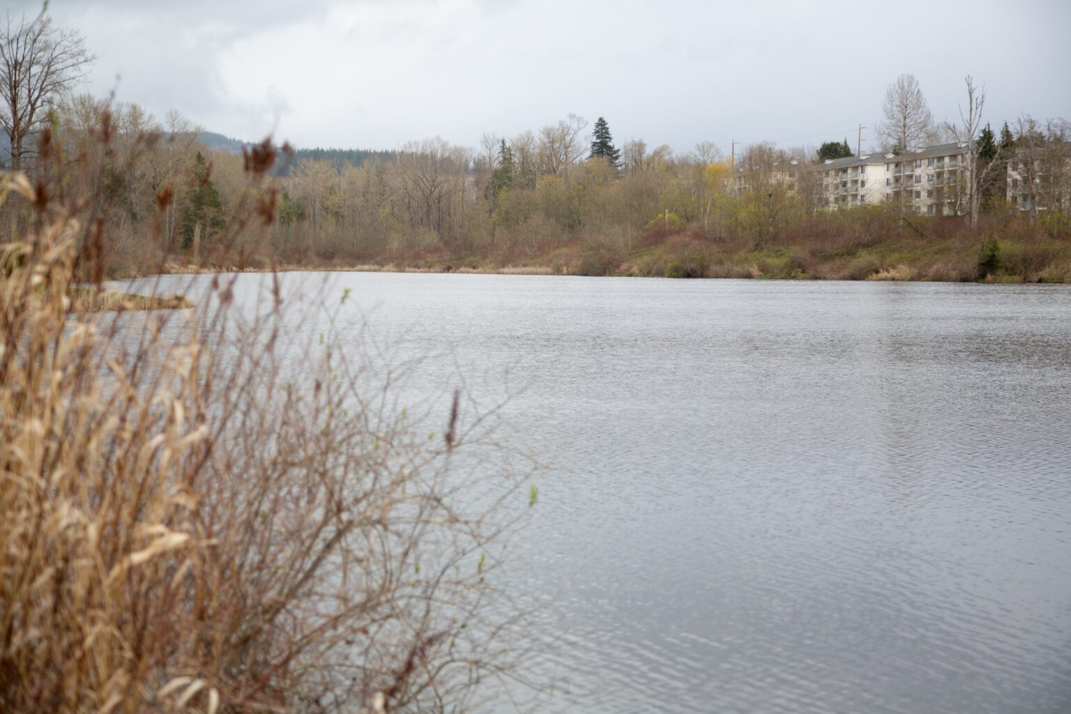 The City of Bellingham is planning to add a new trail circumnavigating Sunset Pond. The project will cost an estimated $2 million
