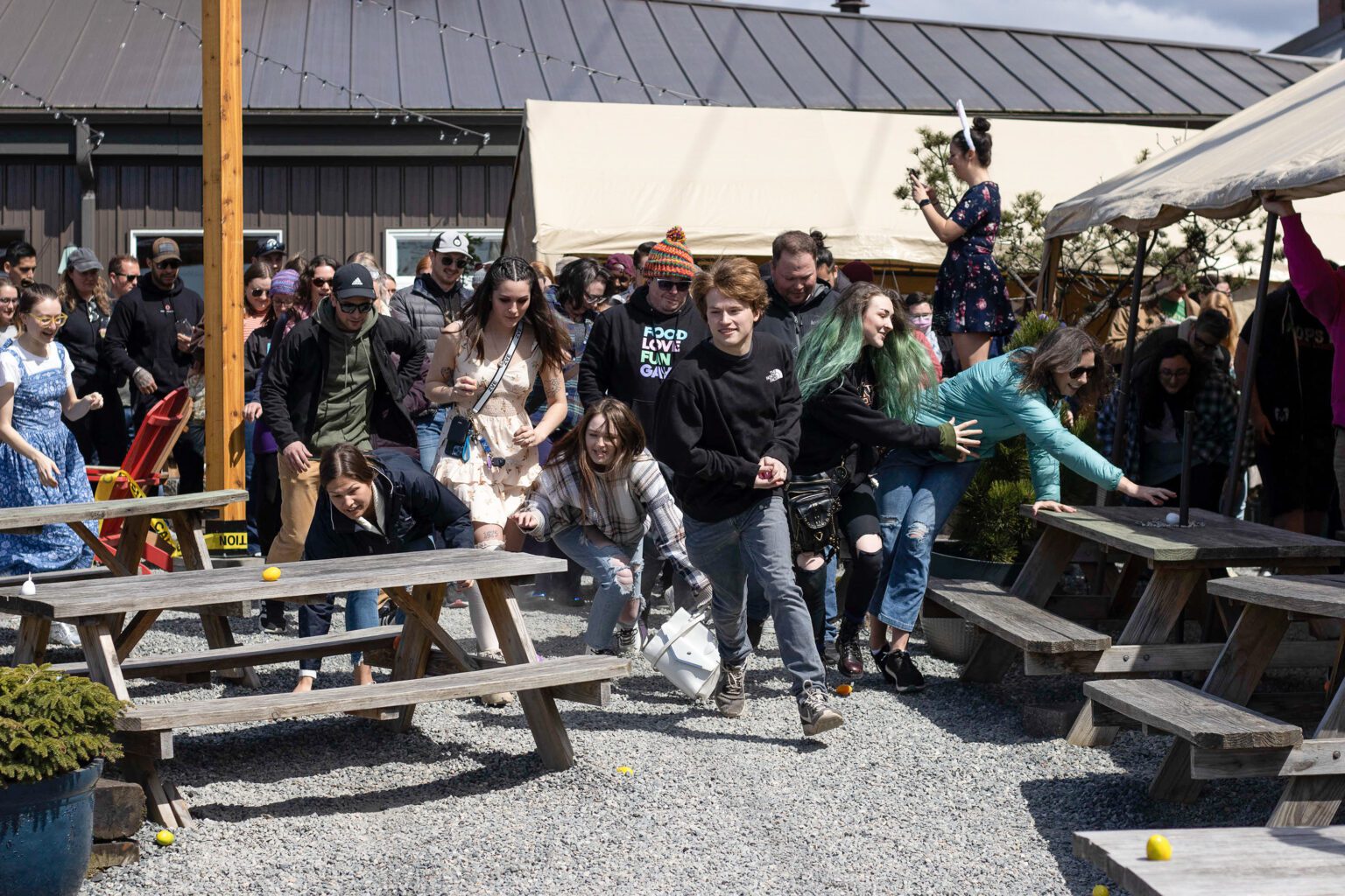 A crowd rushes into the Gruff Brewing beer garden to hunt for eggs at the brewery's adults-only Easter egg hunt on April 17, 2023. The eggs were filled with candy and sometimes numbers that corresponded to prizes inside.