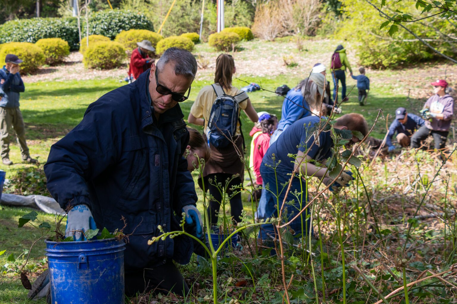 Mayor Seth Fleetwood joins volunteers to remove invasive plants around Padden Creek for an Earth Day work party in Fairhaven Park on April 23.