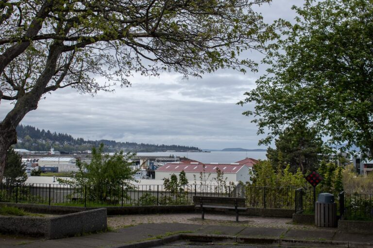 This view from Lower Broadway Overview in Bellingham would be obscured by a new three-story building proposed for 1411 Roeder Ave. Residents are asking the city to require a lower height on the building.