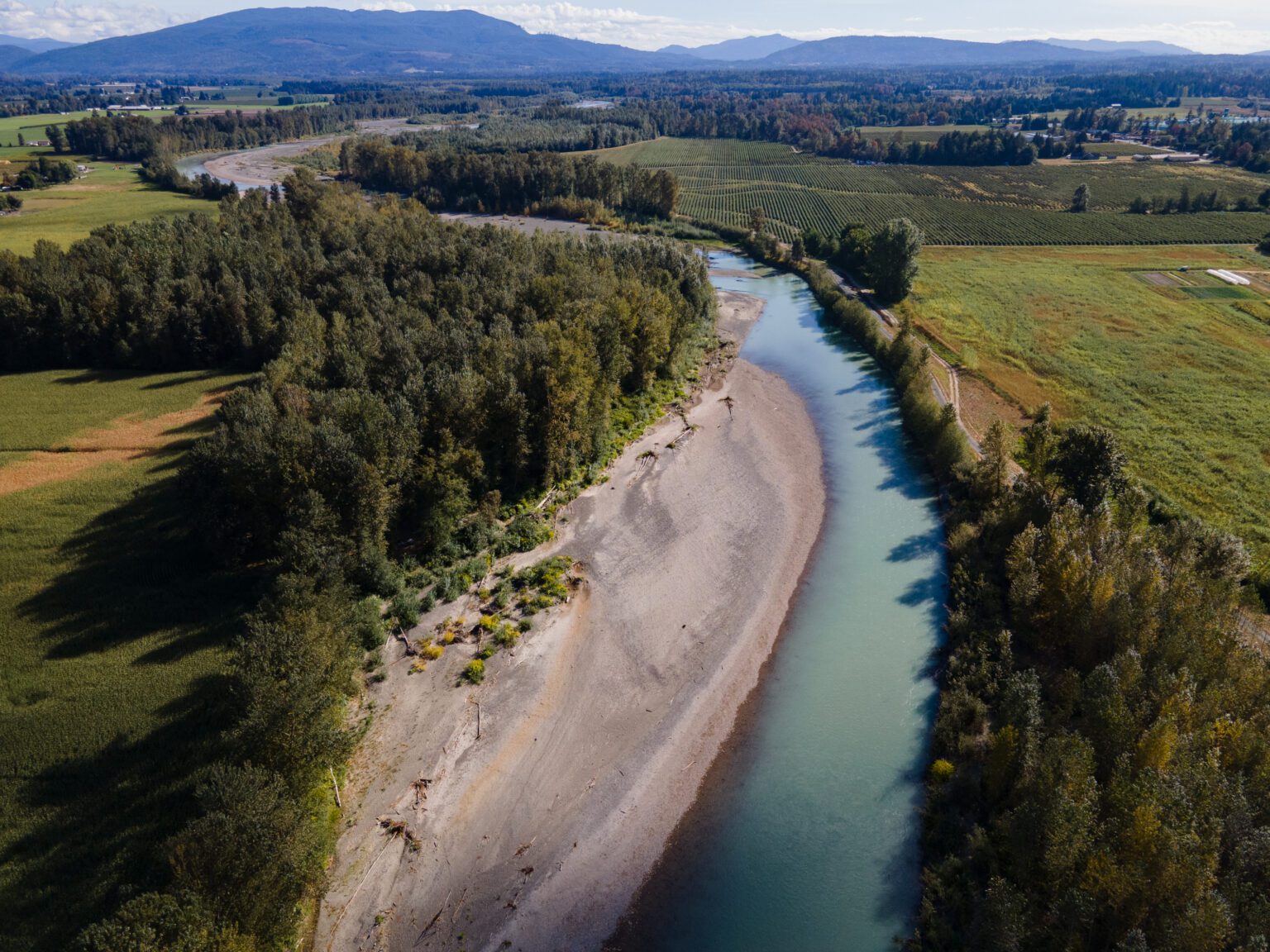 The county plans to remove vegetation and gravel from about 150 feet of the Nooksack River near Everson. The goal