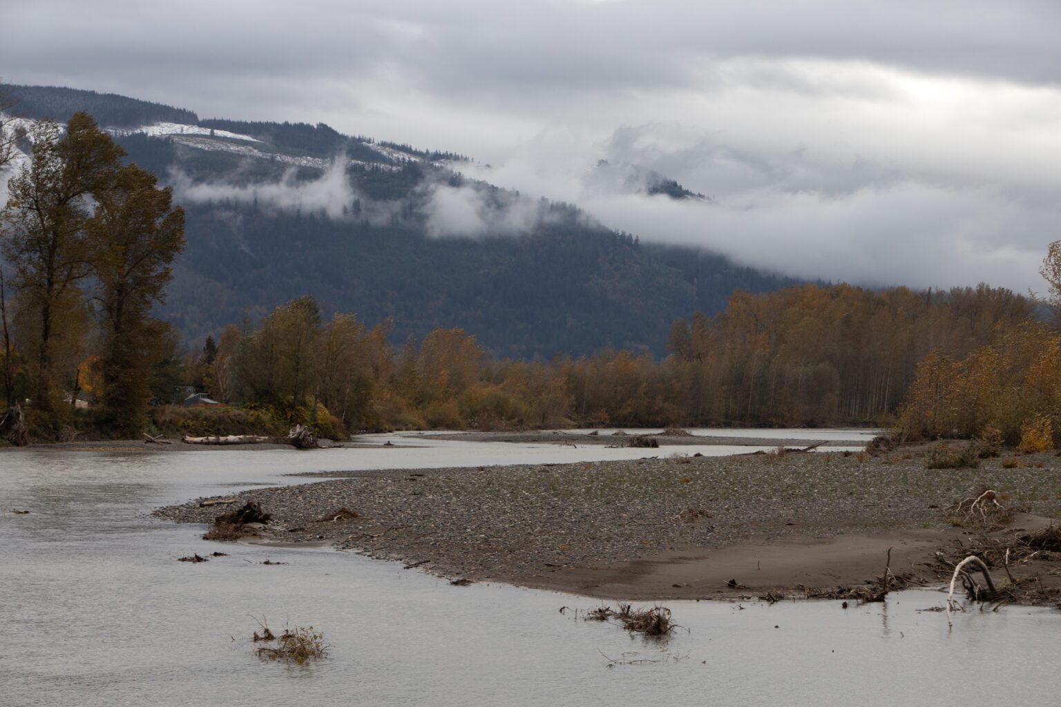 The Nooksack River flooded from the banks beyond the tree line.