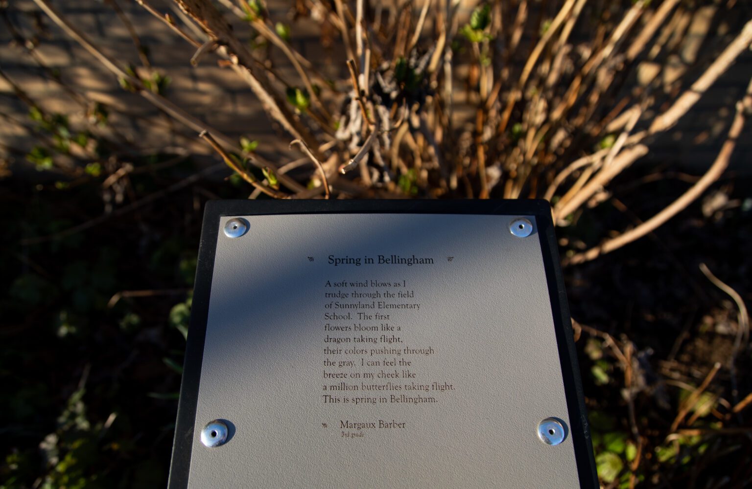 Grade-schooler Margaux Barber's poem "Spring in Bellingham" is currently on display as part of the Sue C. Boynton Poetry Walk in front of the Bellingham Central Library at 210 Central Ave. The annual poetry contest is open to all ages
