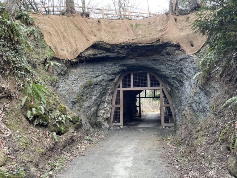 The Sehome Hill Arboretum tunnel closed in spring 2020 after a large rock fell on the north side of the tunnel. The Bellingham Parks and Recreation Department reopened the tunnel in October 2022.