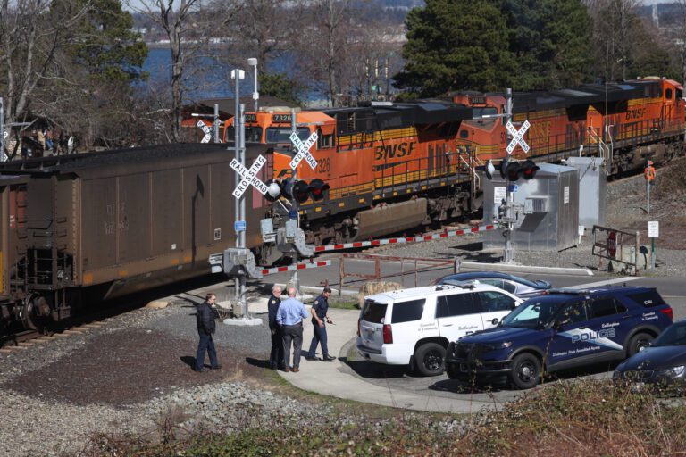 A BNSF train is stopped after an unidentified male was struck and killed March 29 at Boulevard Park.