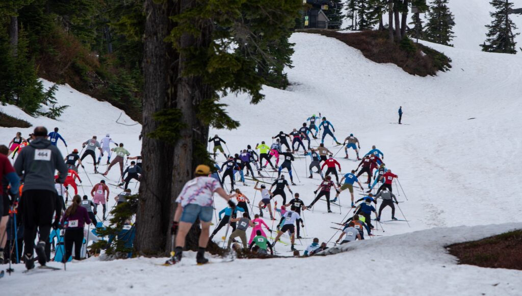 A large group of skiers make their way up the first hill of the race.