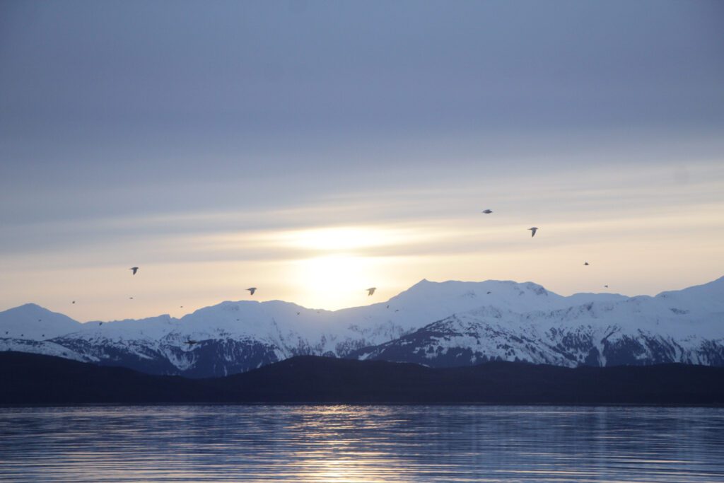 The sun looms behind Alaska's Chilkat Range