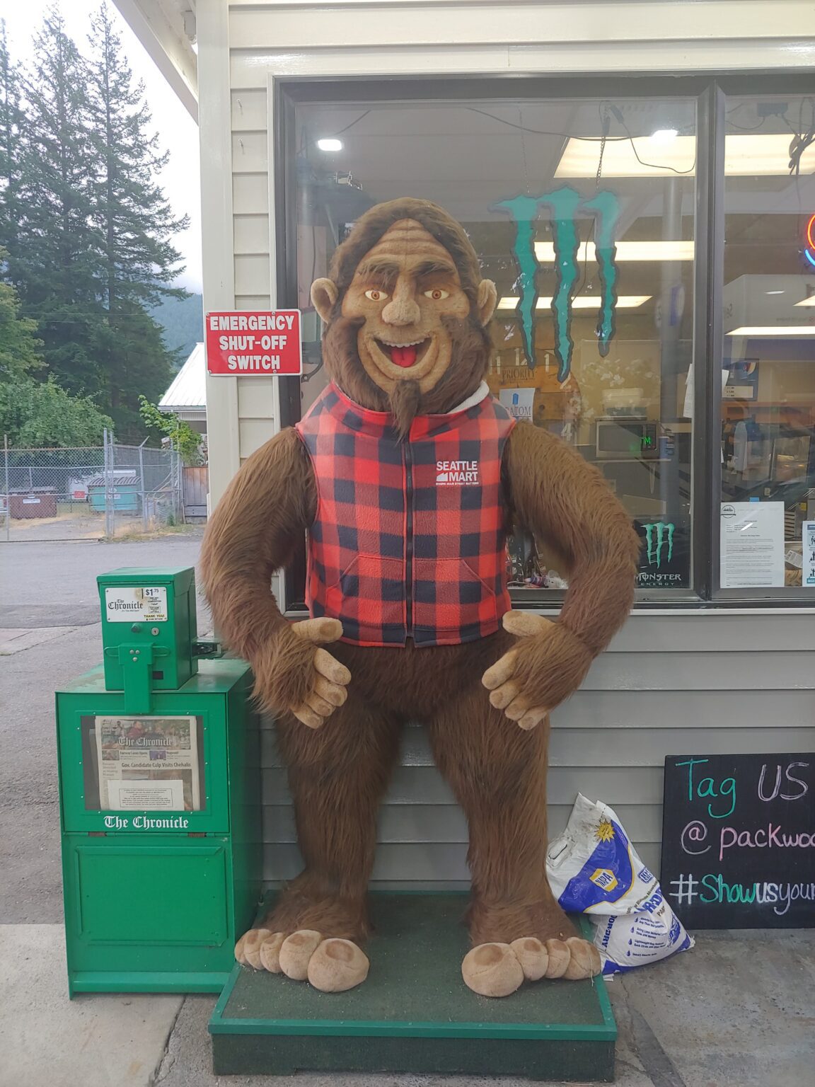 A Bigfoot sighting at a gas station in Packwood