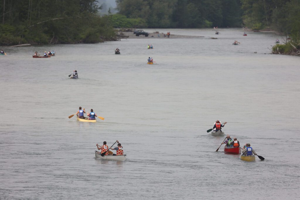 Canoe racers paddle down the Nooksack River.