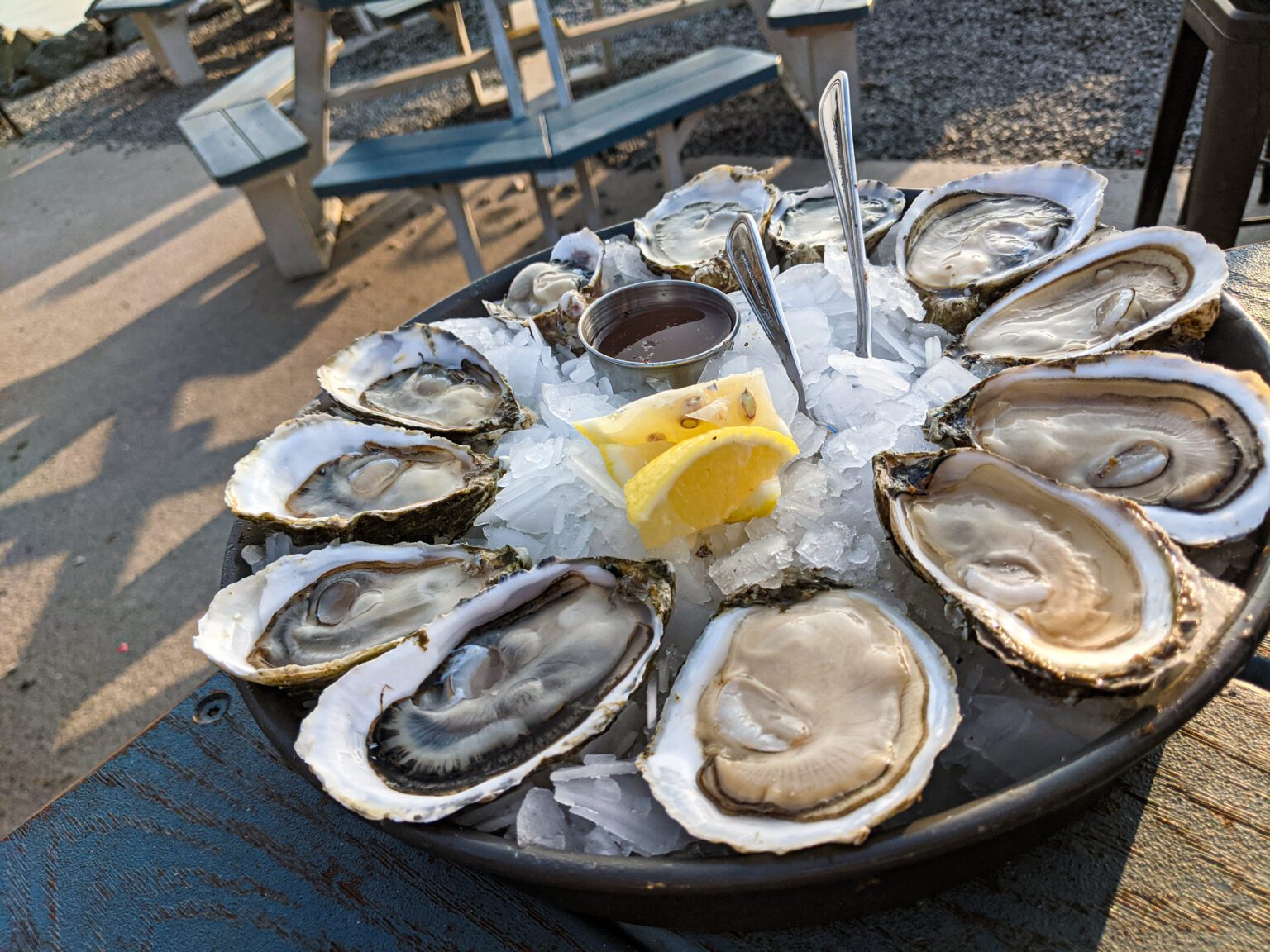 On a recent visit to the Samish Oyster Bar at Taylor Shellfish Farms