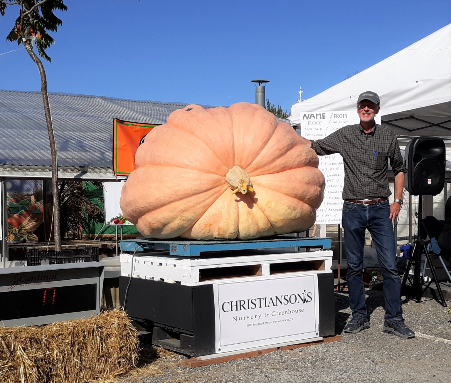 At the 2019 Skagit Valley Giant Pumpkin Festival