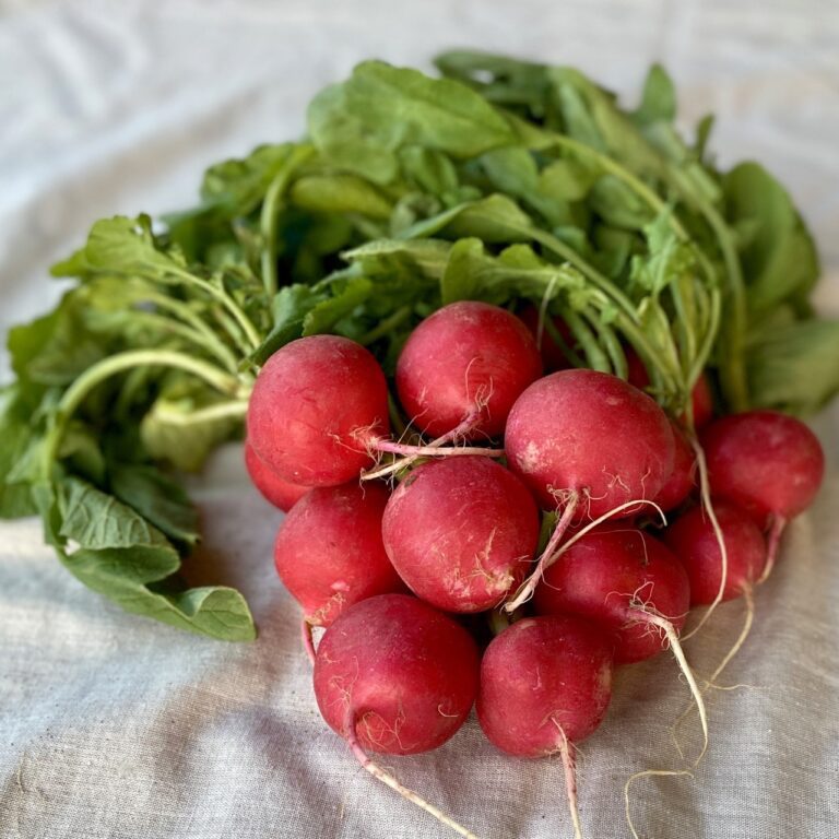 Radishes are often relegated to garnishes or side dishes — shaved over Cobb salads