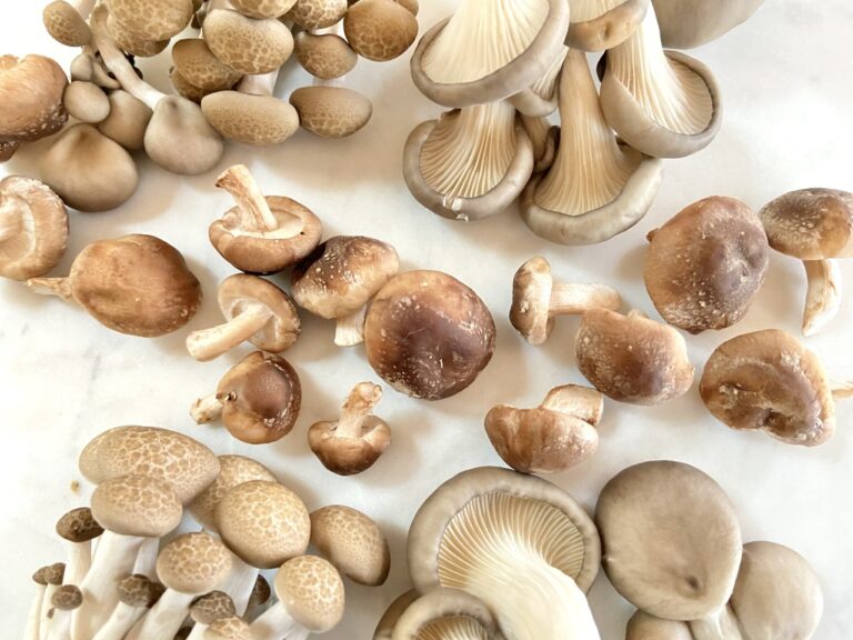 February's Root-to-Leaf superstars are locally grown mushrooms and hazelnuts. A medley of mushrooms are fried to crispy perfection and complemented by hazelnut dukkah and a scattering of fresh herbs.