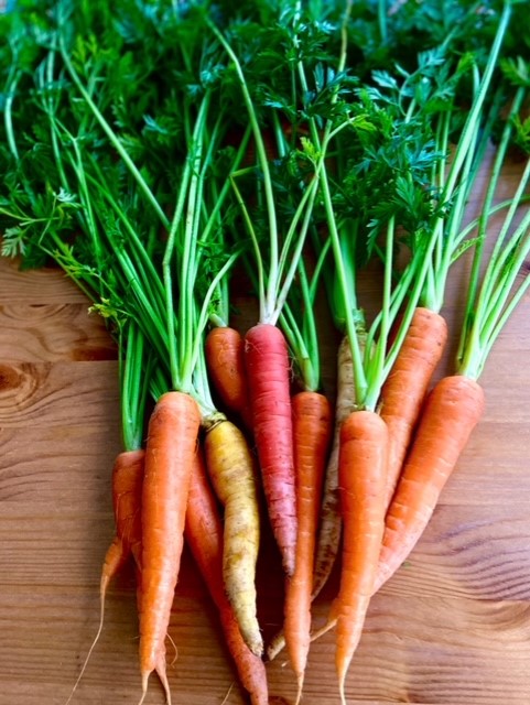 Carrots are a versatile vegetable