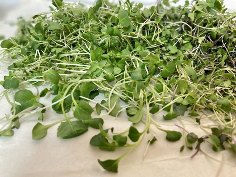 Root-to-leaf cooking uses all edible parts of the plant with a focus on seasonal ingredients. Microgreens are among the first produce to pop up in spring. This recipe features a tangle of bright greens