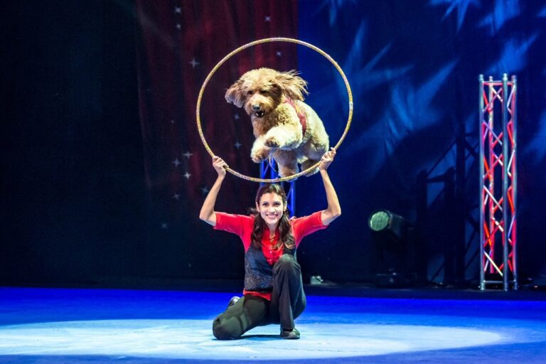 Suhey Perondi holds a hula hoop while Coda leaps through it during a Chris Perondi Stunt Dog show. The show appeared at Mount Baker Theatre Nov. 3.