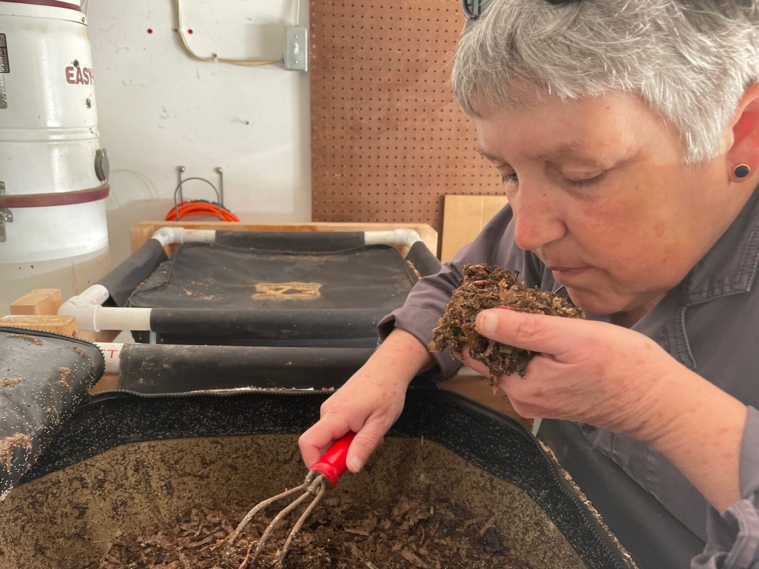 Nancy Neil investigates her worm farm