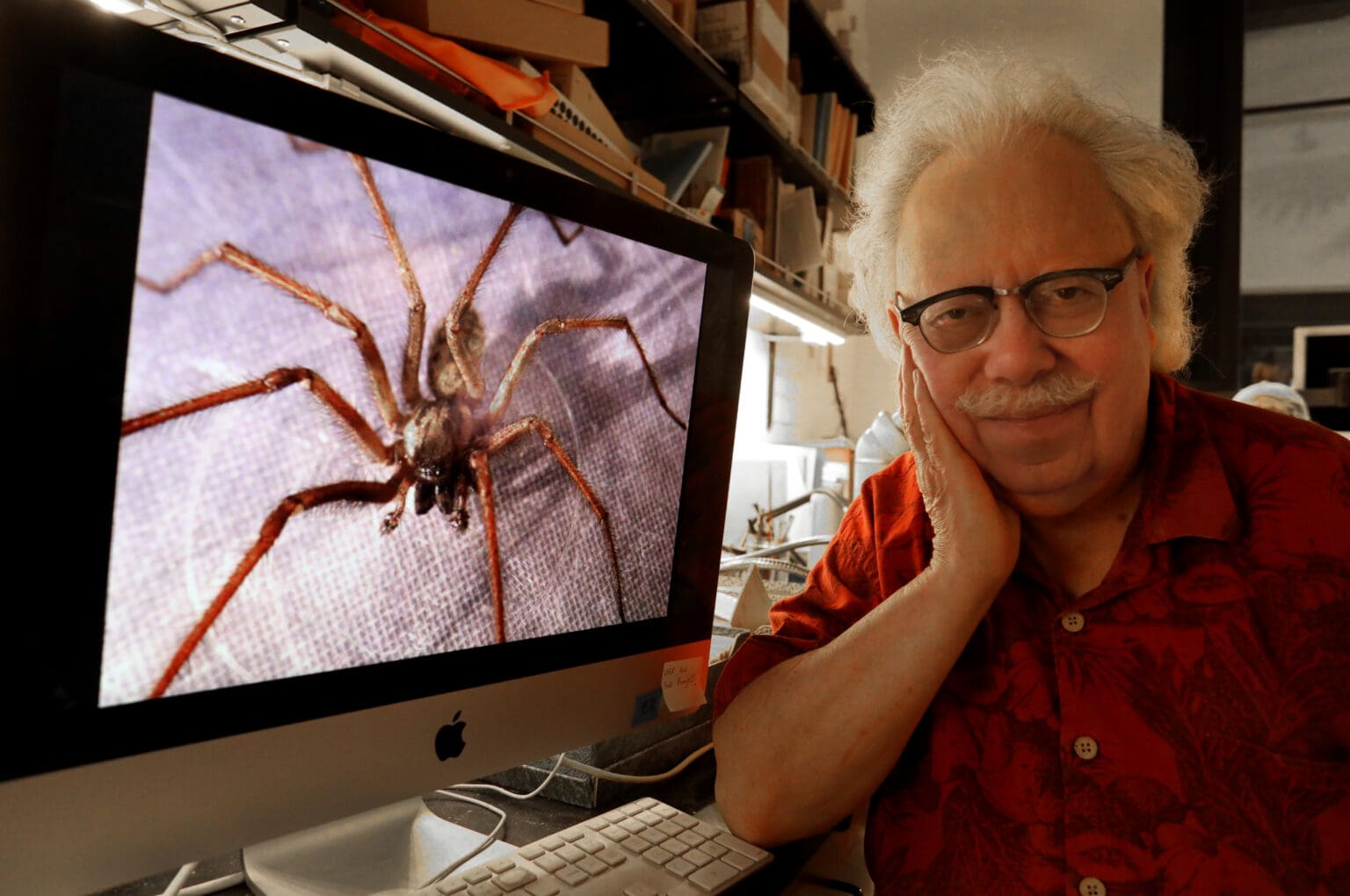 Spider expert Rod Crawford in his lab posing next to his computer showing a photo of a spider.