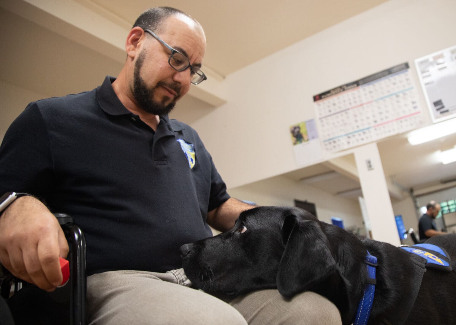 Ace follows the "visit" cue and places his head on trainer Shawn Crincoli's lap at the Brigadoon Service Dogs training facility in Bellingham on Tuesday