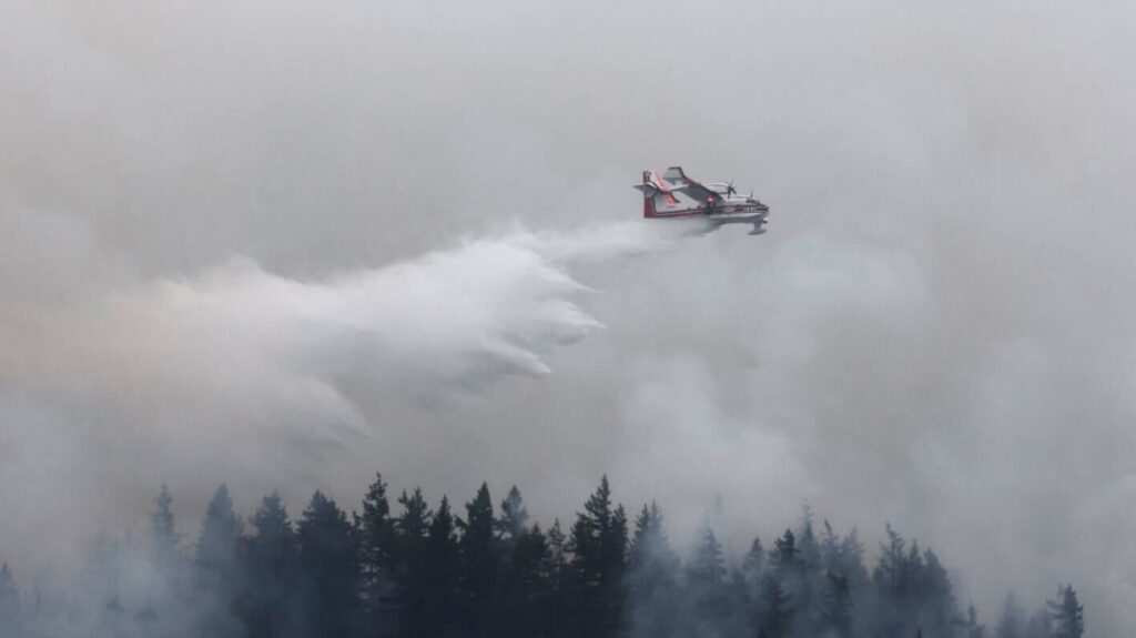 A plane drops water over the South Lake Whatcom blaze leaving a trail of water over the trees.