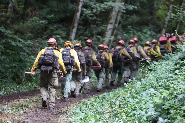 The Baker River Hotshots crew head to camp in a single file line.