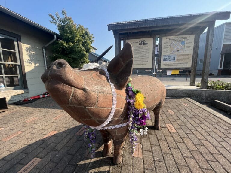 The Brickworks Pig has flowers and lace wrapped around its neck from visitors.