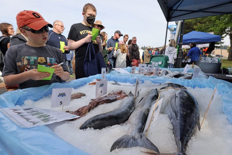 SeaFeast attendees in Bellingham in September 2022 compete for prizes in the festival's Guess the Fish contest. SeaFeast is one of a number of events that received tourism promotion grants.