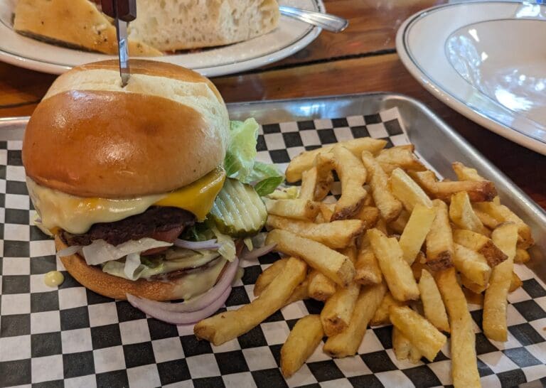 The Stefanie, a 100% vegan burger, served with fries.