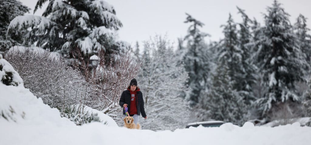 Riley Ney walks his dog Maisy down Taylor Avenue in the snow in Bellingham.