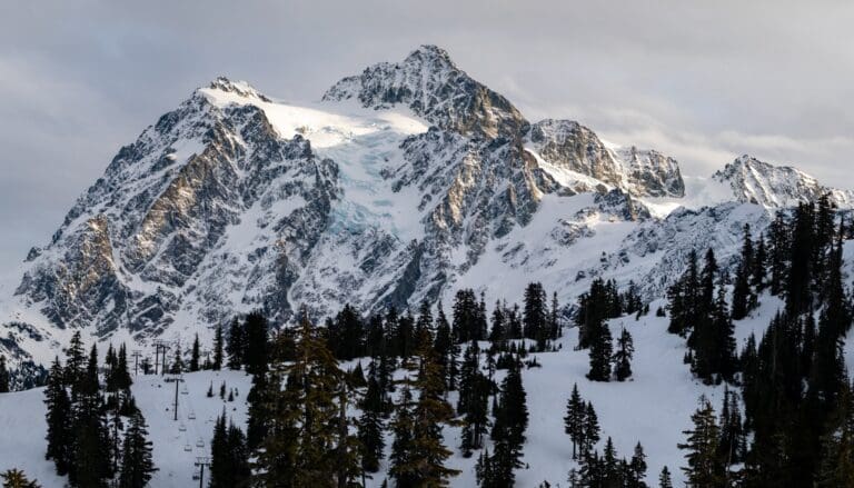 Mount Shuksan covered in snow and surrounded by trees.