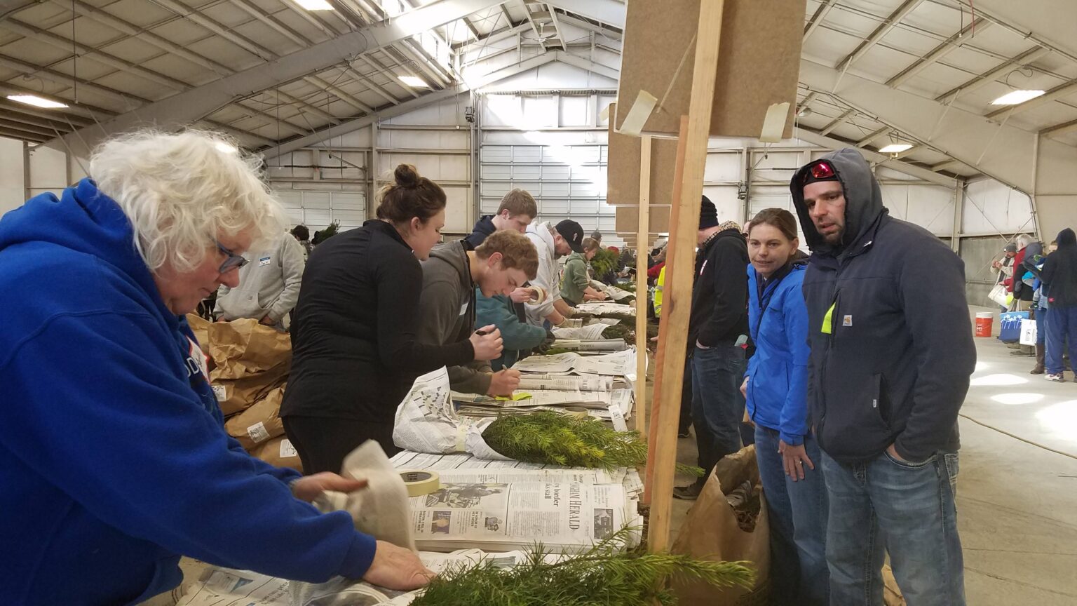 Pre-ordered seedlings are wrapped up by volunteers while onlookers watch.