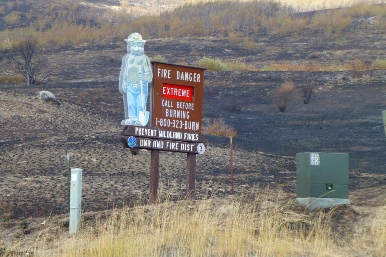 A Smokey Bear sign stands vigil over scorched acreage at the Okanogan Complex Fire near Omak