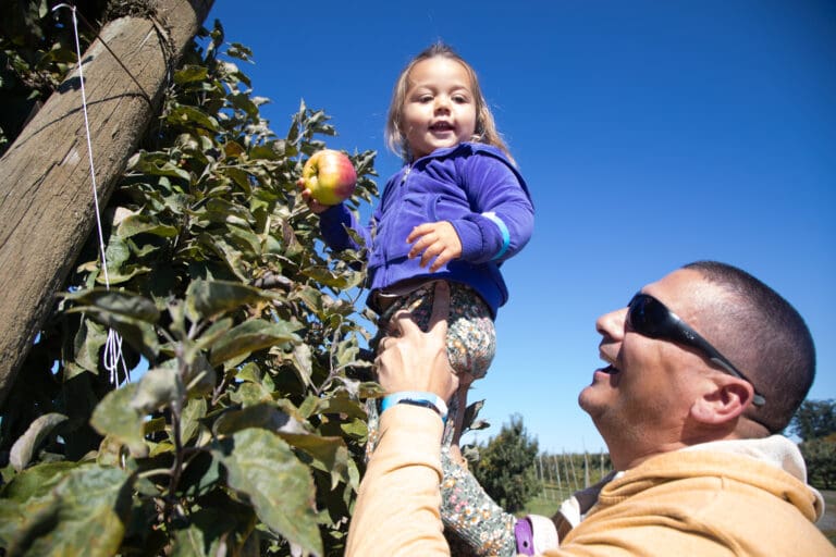 Mark Falcone lifts his granddaughter Charlotte Murray to reach an apple as they both smile from the picking.