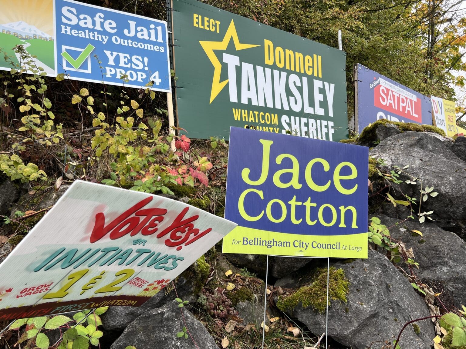 Campaign signs line McLeod Road at Meridian Street in Bellingham. Political signs in city rights of way are OK as long as adjacent property owners approve.