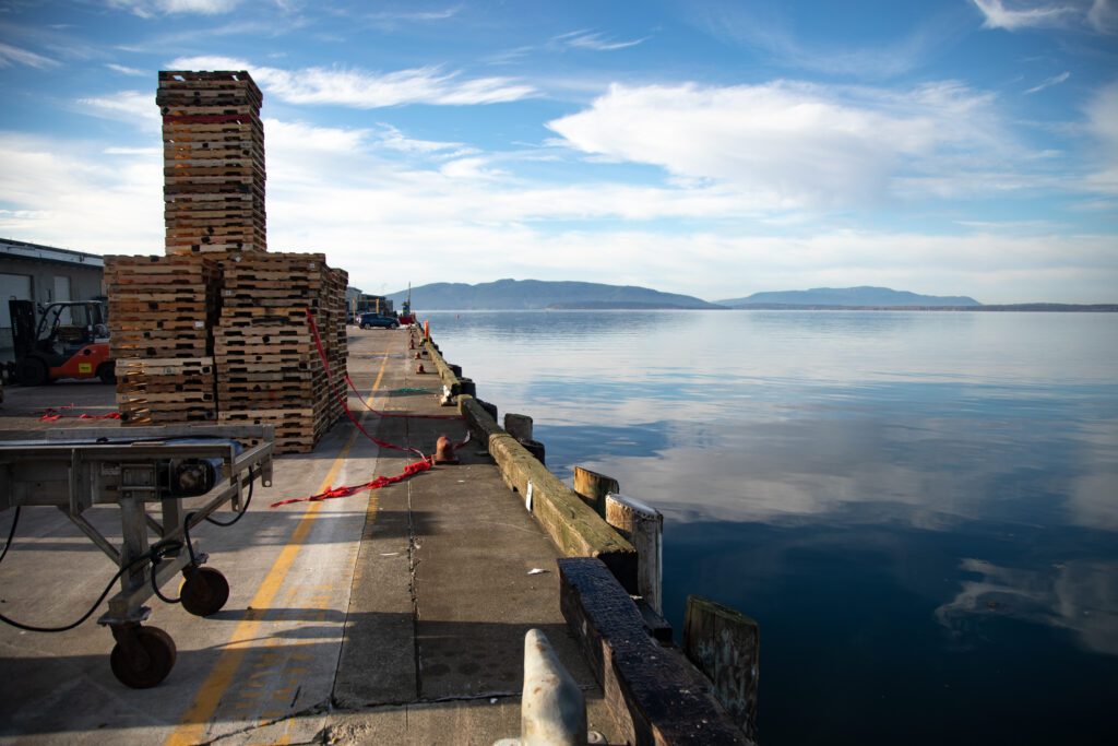 Pallets stacked on the boardwalk next to Bellingham Bay waters.