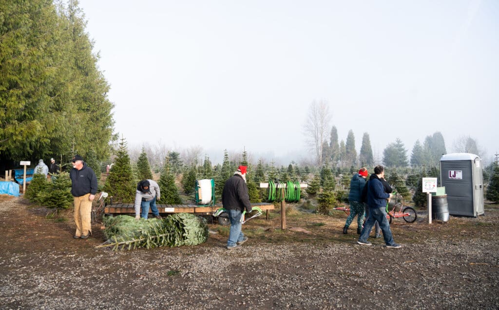 Workers at Small's Northwest Evergreens walking by a wooden platform meant to prepare customer's trees to be tied onto the roofs of their cars.