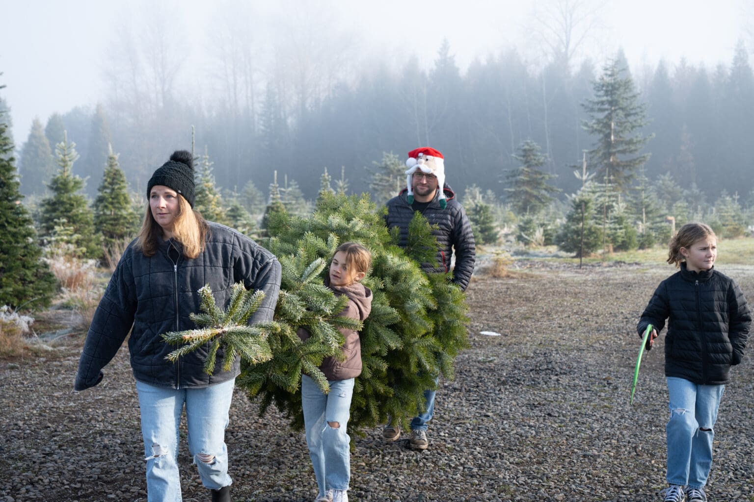 From left, Melissa, Rilyn, Kalen and Avery Hanna drag their chosen tree to the staging area.