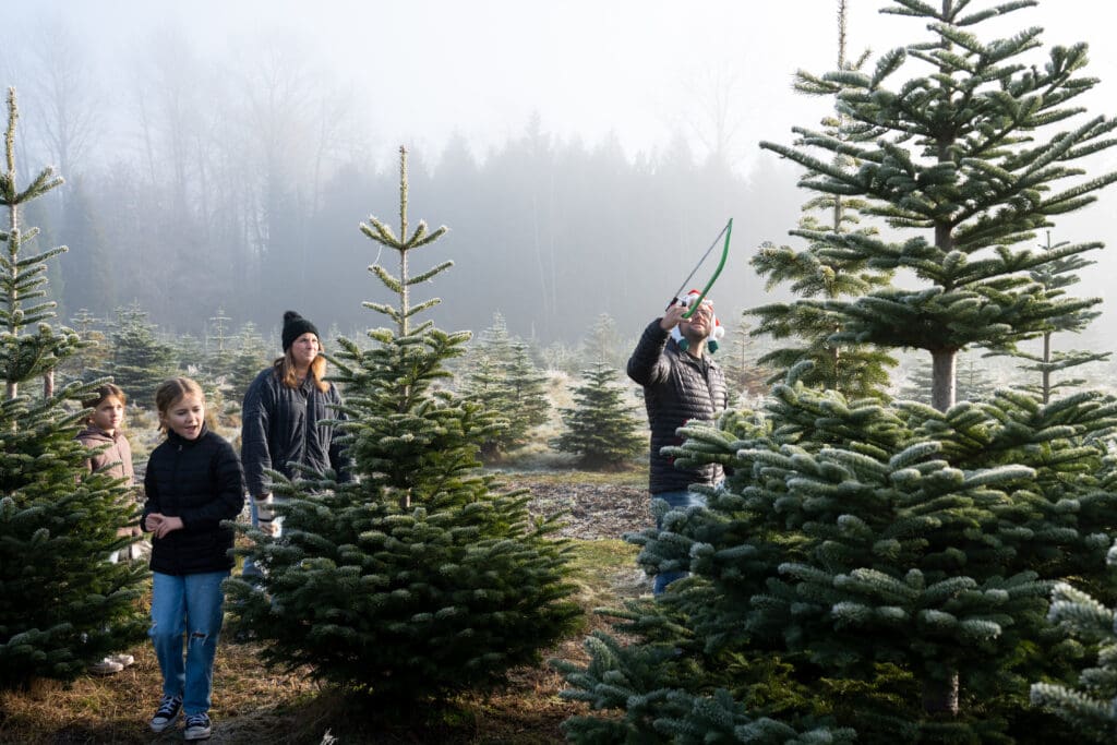 Rilyn, 8, left, Avery, 11, Melissa, and Kalen Hanna hunt for their ideal Christmas tree with a green saw in hand as he points to the top of the tree.