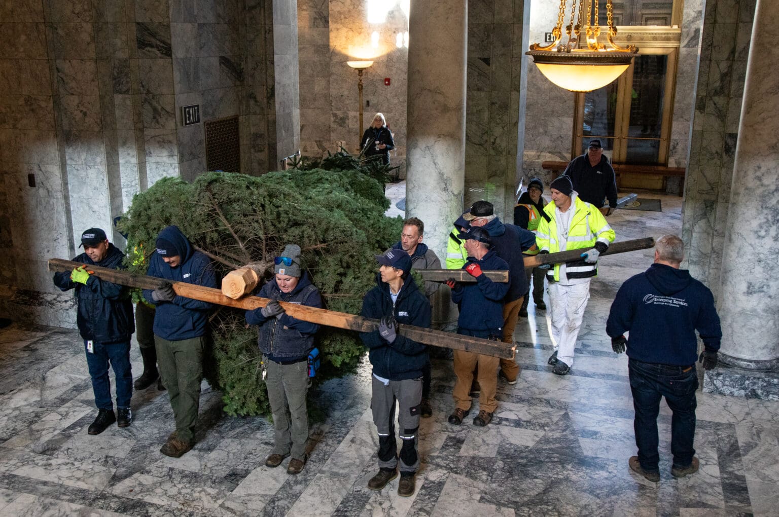 Workers from the Washington State Department of Enterprise Services carry a 20-foot noble fir into the Capitol Rotunda on Tuesday